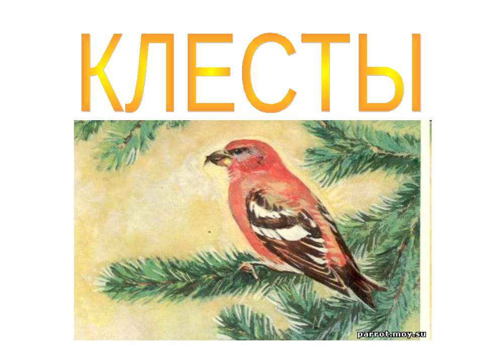 Клесты Учебники, Презентации и Подготовка к Экзаменам для Школьников на Klass-Uchebnik.com