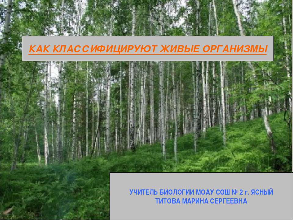 Как классифицируют живые организмы - Учебники, Презентации и Подготовка к Экзаменам для Школьников на Klass-Uchebnik.com