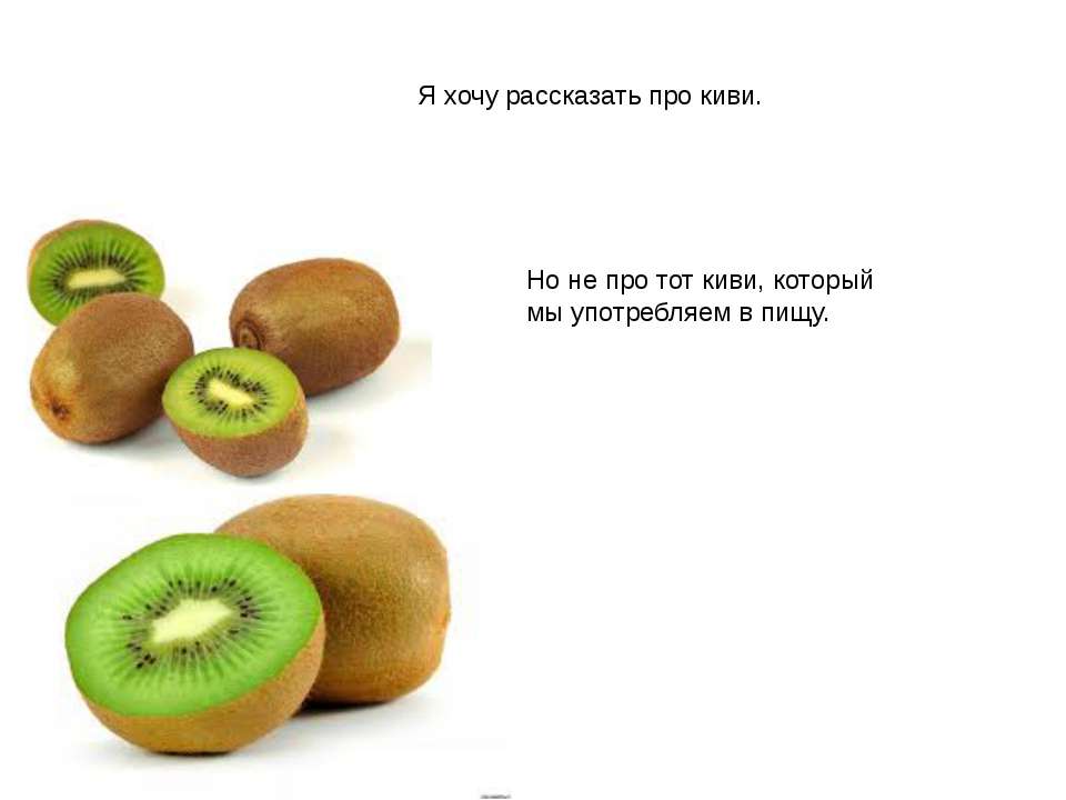 Птица Киви Учебники, Презентации и Подготовка к Экзаменам для Школьников на Klass-Uchebnik.com