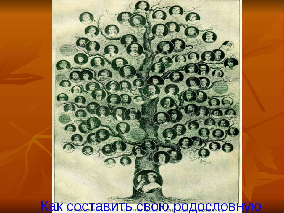 Как составить родословную Учебники, Презентации и Подготовка к Экзаменам для Школьников на Klass-Uchebnik.com