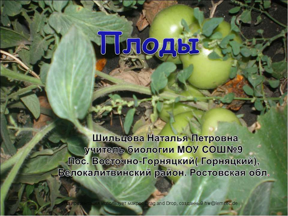 Плоды Учебники, Презентации и Подготовка к Экзаменам для Школьников на Klass-Uchebnik.com