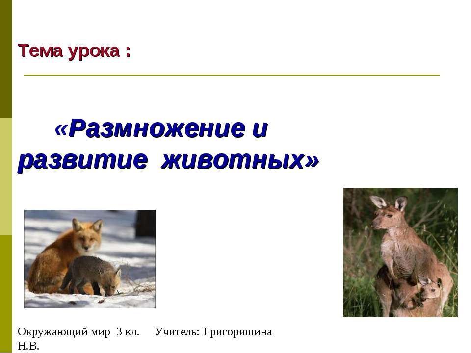 Размножение и развитие животных 3 класс Учебники, Презентации и Подготовка к Экзаменам для Школьников на Klass-Uchebnik.com