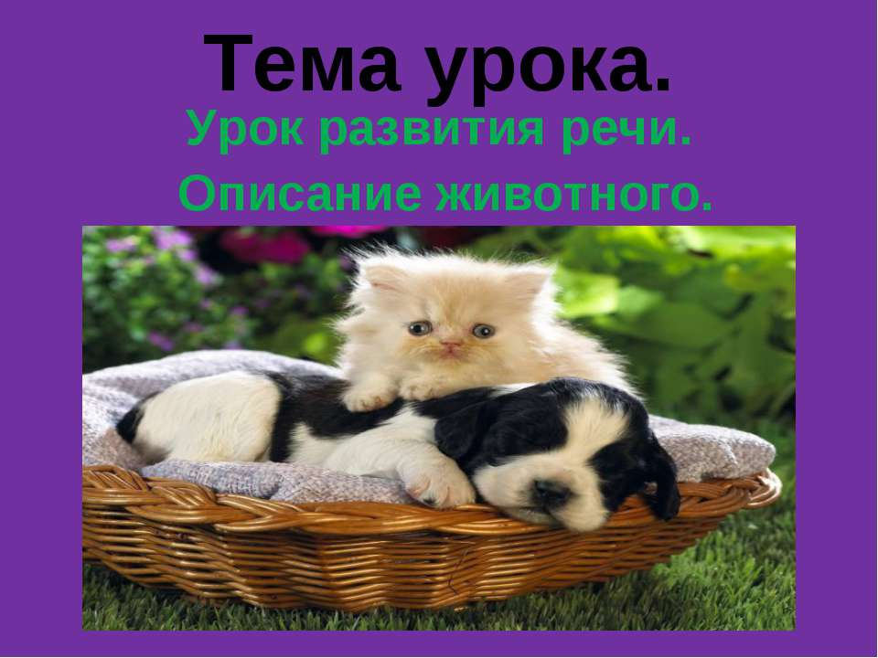 Урок развития речи. Описание животного - Учебники, Презентации и Подготовка к Экзаменам для Школьников на Klass-Uchebnik.com