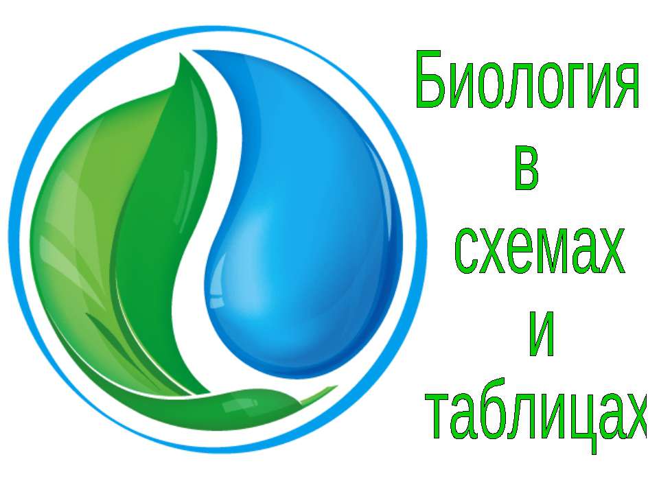 Биология в схемах и таблицах Учебники, Презентации и Подготовка к Экзаменам для Школьников на Klass-Uchebnik.com