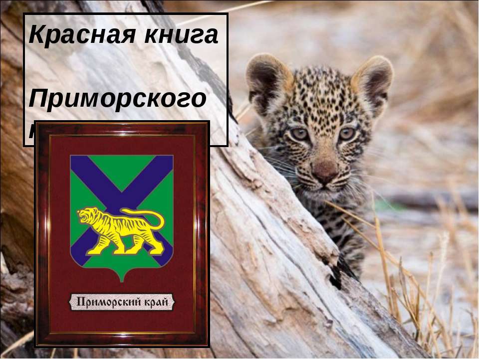 Красная книга Приморского края Учебники, Презентации и Подготовка к Экзаменам для Школьников на Klass-Uchebnik.com