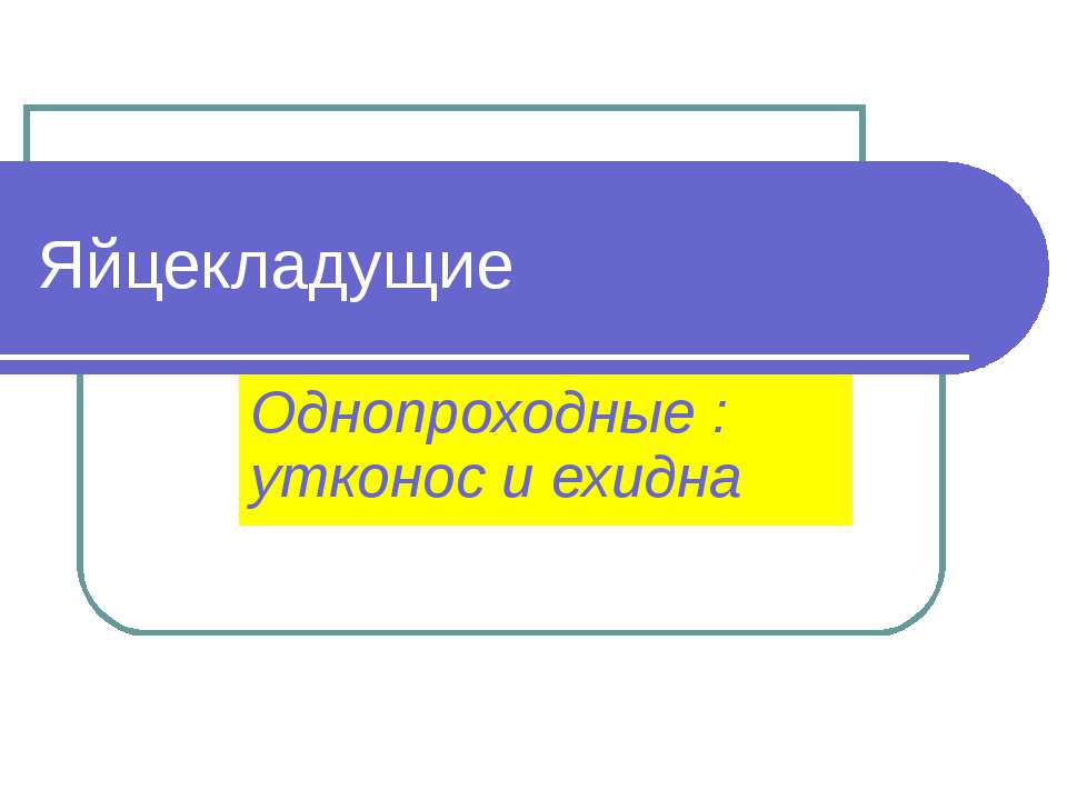 Яйцекладущие Учебники, Презентации и Подготовка к Экзаменам для Школьников на Klass-Uchebnik.com