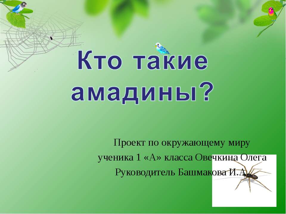 Кто такие амадины? Учебники, Презентации и Подготовка к Экзаменам для Школьников на Klass-Uchebnik.com