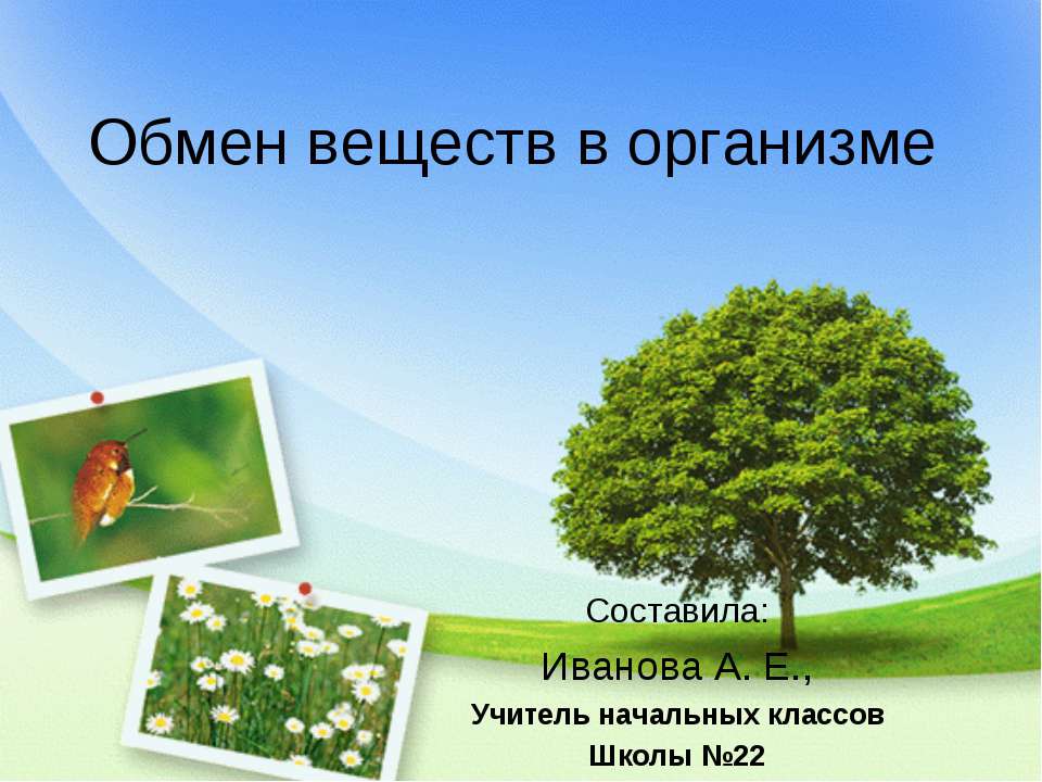 Обмен веществ в организме Учебники, Презентации и Подготовка к Экзаменам для Школьников на Klass-Uchebnik.com
