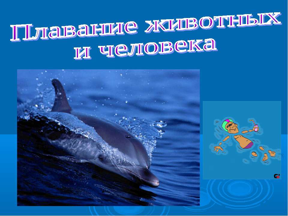 Плавание животных и человека Учебники, Презентации и Подготовка к Экзаменам для Школьников на Klass-Uchebnik.com