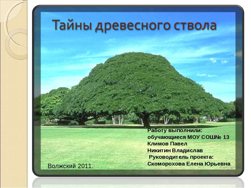 Тайны древесного ствола Учебники, Презентации и Подготовка к Экзаменам для Школьников на Klass-Uchebnik.com