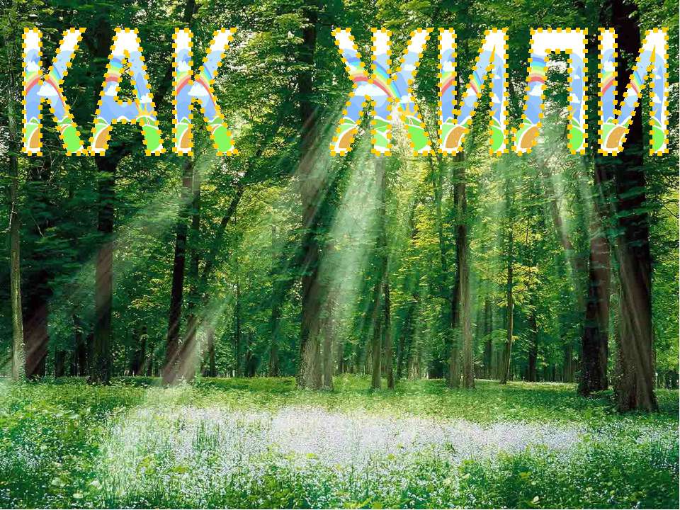 Как жили ежи в лесной глуши Учебники, Презентации и Подготовка к Экзаменам для Школьников на Klass-Uchebnik.com