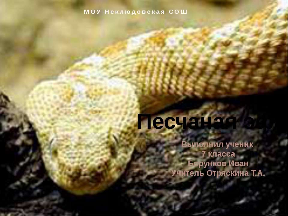 Песчанная ЭФА Учебники, Презентации и Подготовка к Экзаменам для Школьников на Klass-Uchebnik.com