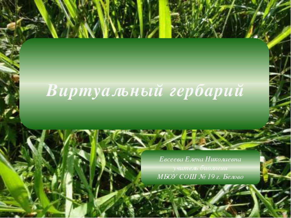 Виртуальный гербарий Учебники, Презентации и Подготовка к Экзаменам для Школьников на Klass-Uchebnik.com