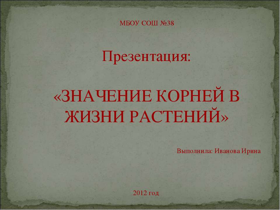 Значение корней в жизни растений 📚 Учебники, Презентации и Подготовка к Экзаменам для Школьников на Klass-Uchebnik.com