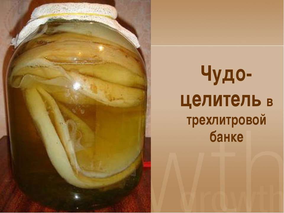 Чудо-целитель в трехлитровой банке Учебники, Презентации и Подготовка к Экзаменам для Школьников на Klass-Uchebnik.com