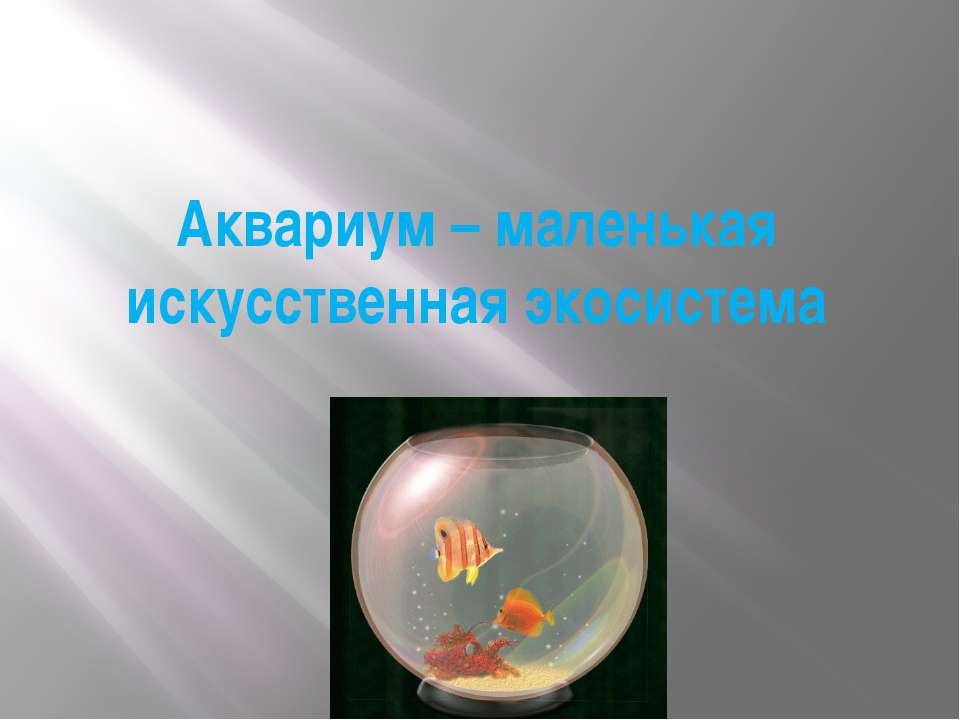 Аквариум-маленькая искусственная экосистема Учебники, Презентации и Подготовка к Экзаменам для Школьников на Klass-Uchebnik.com