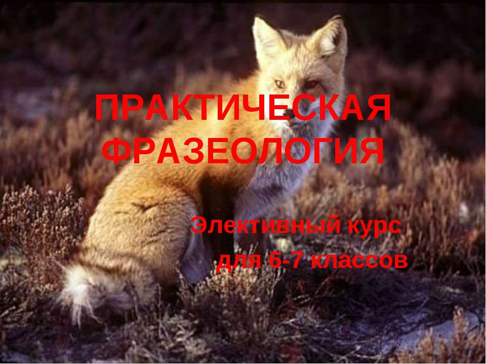 Практическая фразеология 6-7 класс Учебники, Презентации и Подготовка к Экзаменам для Школьников на Klass-Uchebnik.com