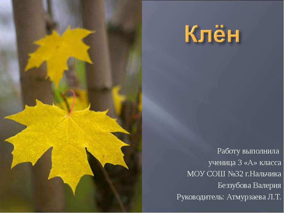 Клён Учебники, Презентации и Подготовка к Экзаменам для Школьников на Klass-Uchebnik.com