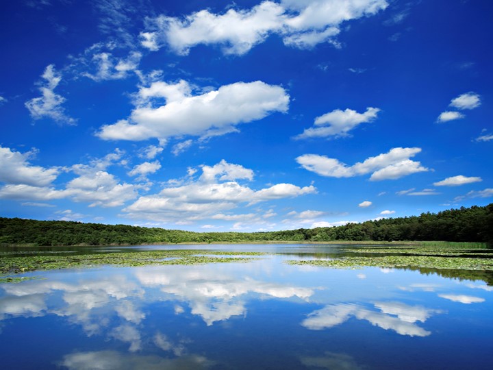 Презентация по географии на тему "Ветер" (6 класс) Учебники, Презентации и Подготовка к Экзаменам для Школьников на Klass-Uchebnik.com