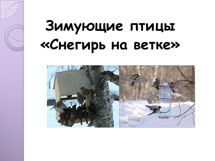 Презентация к занятию по художественно-эстетическому развитию "снегирь на ветке". Учебники, Презентации и Подготовка к Экзаменам для Школьников на Klass-Uchebnik.com