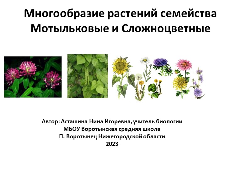 Презентация по биологии на тему "Многообразие растений семейств Бобовые и Сложноцветные" - Учебники, Презентации и Подготовка к Экзаменам для Школьников на Klass-Uchebnik.com