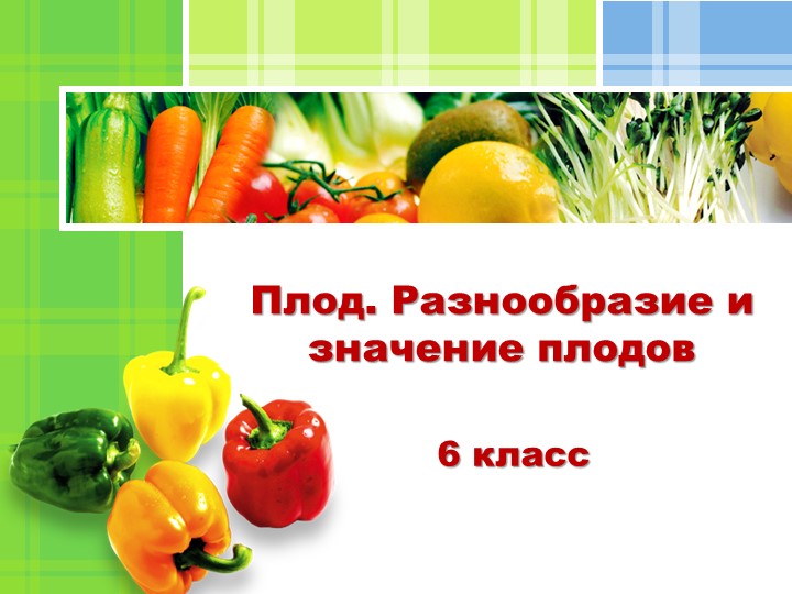 Презентация по биологии 6 класс Учебники, Презентации и Подготовка к Экзаменам для Школьников на Klass-Uchebnik.com
