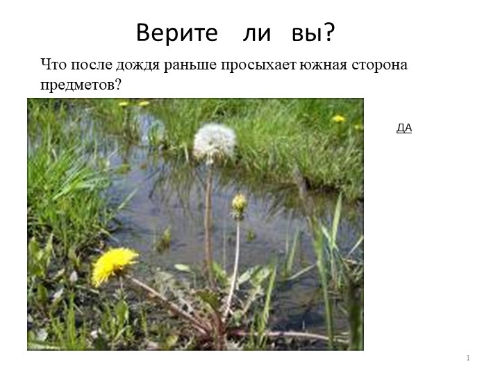 Презентация по окружающему миру "Знаете ли вы" - Учебники, Презентации и Подготовка к Экзаменам для Школьников на Klass-Uchebnik.com