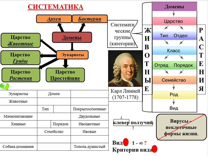 Логический опорный конспект по биологии на тему "Классификация организмов. Систематика" Учебники, Презентации и Подготовка к Экзаменам для Школьников на Klass-Uchebnik.com