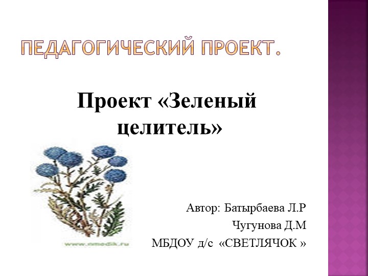 ПРОЕКТ "ЗЕЛЕНЫЙ ЦЕЛИТЕЛЬ" В ДЕТСКОМ САДУ Учебники, Презентации и Подготовка к Экзаменам для Школьников на Klass-Uchebnik.com