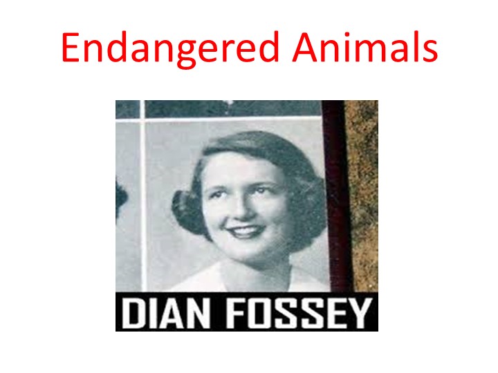 Презентация по теме "Вымирающие животные" Учебники, Презентации и Подготовка к Экзаменам для Школьников на Klass-Uchebnik.com