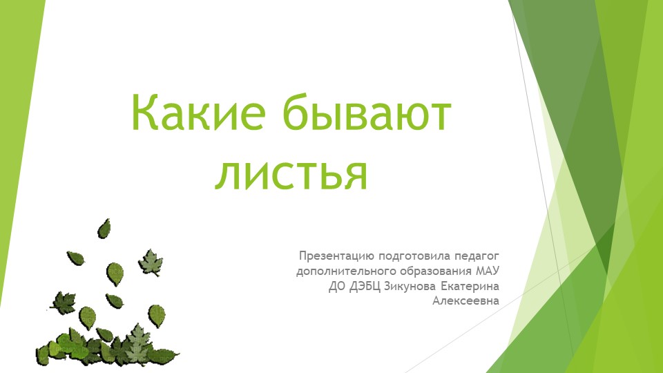 Презентация "Какие бывают листья" Учебники, Презентации и Подготовка к Экзаменам для Школьников на Klass-Uchebnik.com