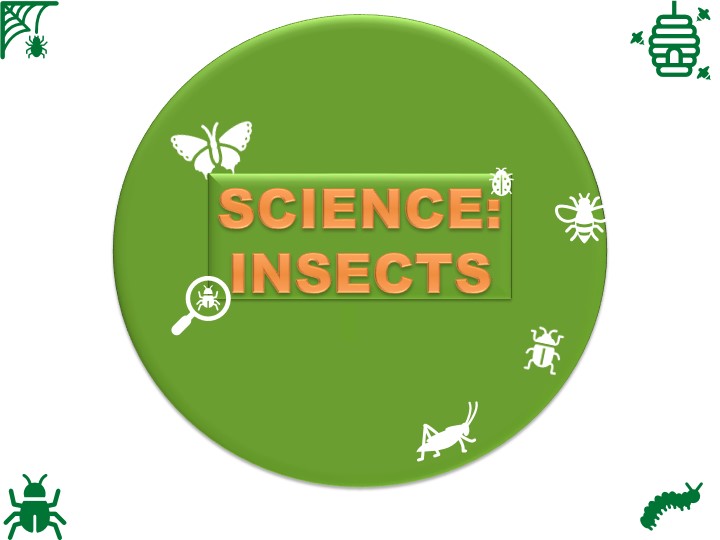 Презентация к уроку "Extensive Reading. Science. Module 5" Учебники, Презентации и Подготовка к Экзаменам для Школьников на Klass-Uchebnik.com