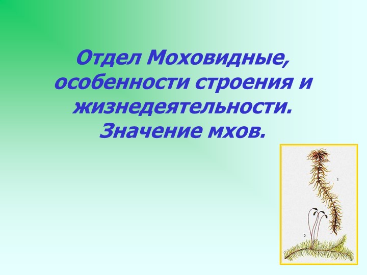 Презентация по теме "Отдел мхов" Учебники, Презентации и Подготовка к Экзаменам для Школьников на Klass-Uchebnik.com
