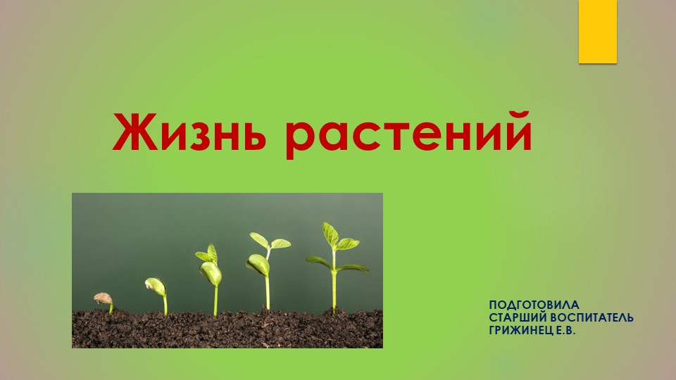 На Земле невозможно представить жизнь без растений. Для чего нужны растения и как появляются -поможет рассказать об этом презентация "Жизнь растений" Учебники, Презентации и Подготовка к Экзаменам для Школьников на Klass-Uchebnik.com