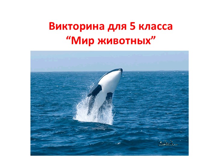 Викторина для 5 класса “Мир животных” - Учебники, Презентации и Подготовка к Экзаменам для Школьников на Klass-Uchebnik.com