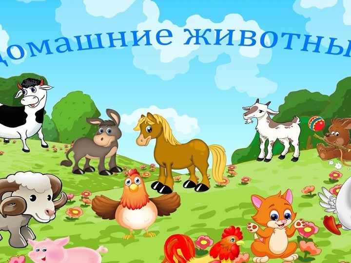 " В гостях у домашних животных" Учебники, Презентации и Подготовка к Экзаменам для Школьников на Klass-Uchebnik.com
