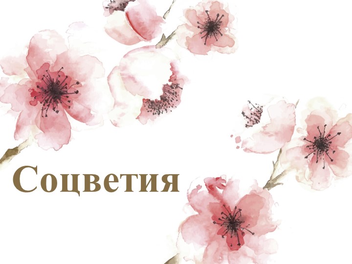 Презентация по теме " Соцветия" Учебники, Презентации и Подготовка к Экзаменам для Школьников на Klass-Uchebnik.com