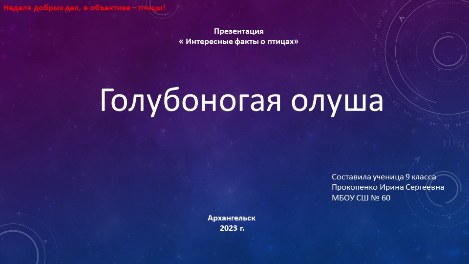 Презентация "Интересные факты о птицах" "Голубая олуша" - Учебники, Презентации и Подготовка к Экзаменам для Школьников на Klass-Uchebnik.com