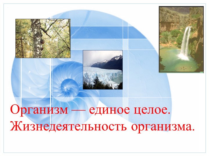 Презентация "Организм — единое целое. Жизнедеятельность организма" Учебники, Презентации и Подготовка к Экзаменам для Школьников на Klass-Uchebnik.com