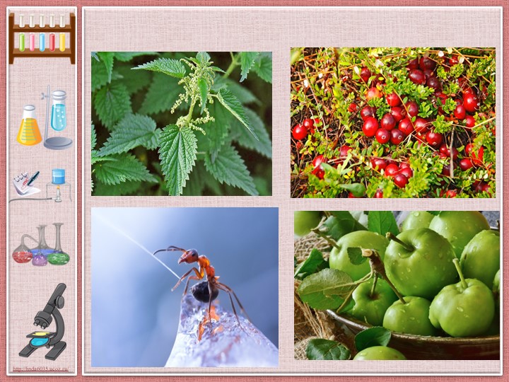 Презентация по химии на тему "Кислоты" 8 класс Учебники, Презентации и Подготовка к Экзаменам для Школьников на Klass-Uchebnik.com