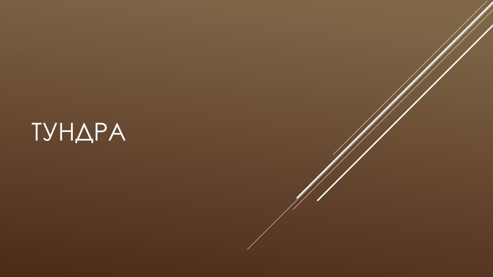 Презентация по окружающему миру " Тундра" Учебники, Презентации и Подготовка к Экзаменам для Школьников на Klass-Uchebnik.com