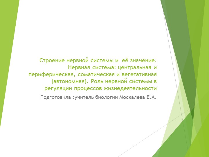 Презентация на тему "Нервная система" Учебники, Презентации и Подготовка к Экзаменам для Школьников на Klass-Uchebnik.com