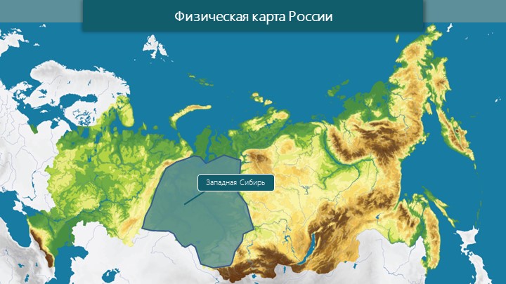 Презентация к уроку "Степи и лесостепи" Учебники, Презентации и Подготовка к Экзаменам для Школьников на Klass-Uchebnik.com