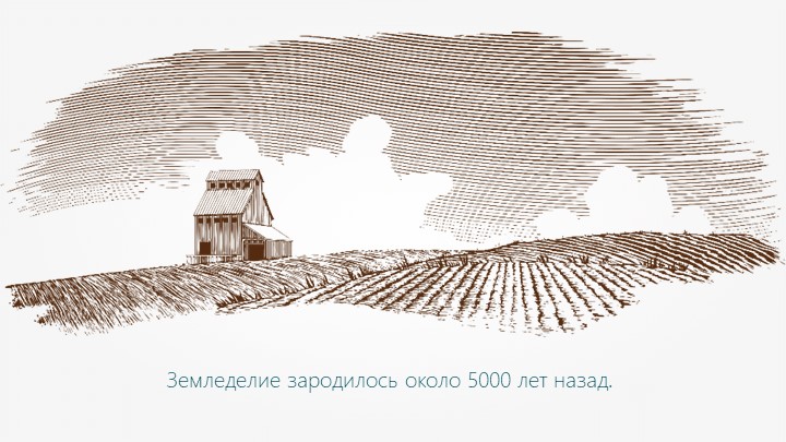 Презентация к уроку "Почва — основа сельского хозяйства" Учебники, Презентации и Подготовка к Экзаменам для Школьников на Klass-Uchebnik.com