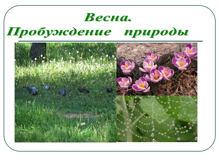 Презентация по окружающему миру "Весна" 4 класс - Учебники, Презентации и Подготовка к Экзаменам для Школьников на Klass-Uchebnik.com