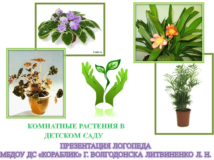 Презентация по лексической теме в старшей группе "Комнатные цветы в детском саду"" - Учебники, Презентации и Подготовка к Экзаменам для Школьников на Klass-Uchebnik.com