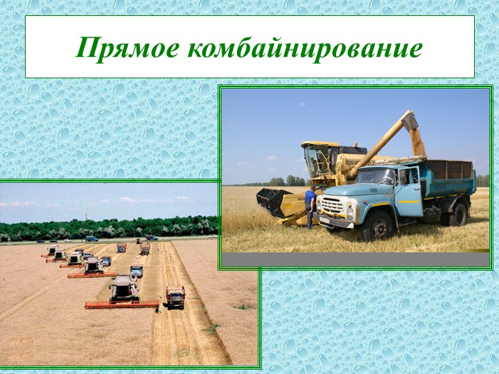 Презентация "Способы уборки зерновых культур" - Учебники, Презентации и Подготовка к Экзаменам для Школьников на Klass-Uchebnik.com