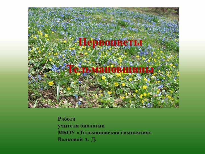 Презентация по биологии на тему " Первоцветам быть!" 8 класс Учебники, Презентации и Подготовка к Экзаменам для Школьников на Klass-Uchebnik.com