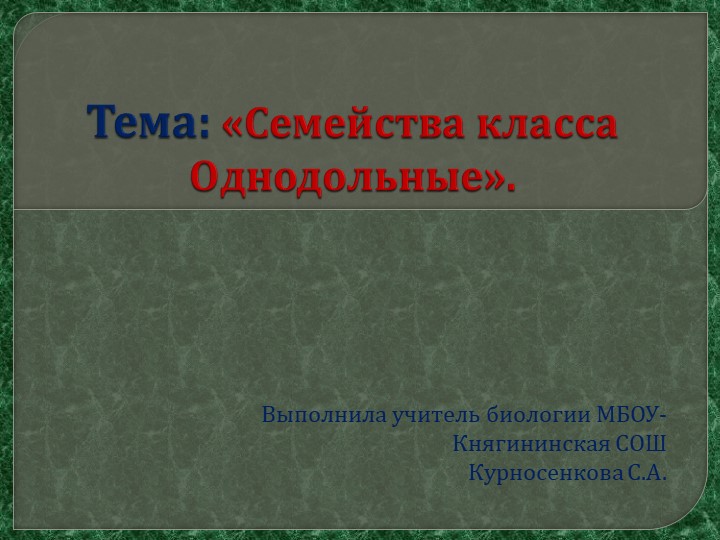 Презентация на тему "Однодольные" 6 класс Учебники, Презентации и Подготовка к Экзаменам для Школьников на Klass-Uchebnik.com