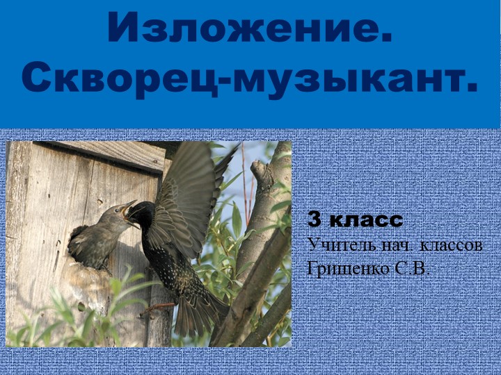 Презентация к уроку развития речи. Изложение "Скворец-музыкант". 3 класс. Учебники, Презентации и Подготовка к Экзаменам для Школьников на Klass-Uchebnik.com